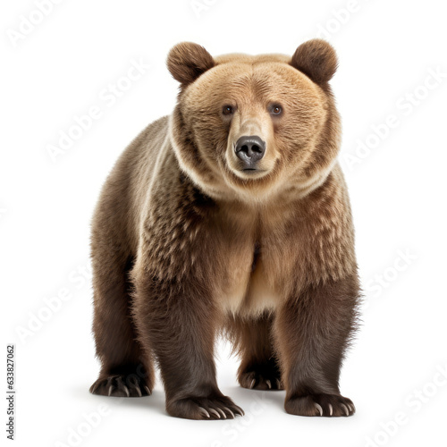 A majestic brown bear standing tall against a clean white backdrop © LUPACO IMAGES