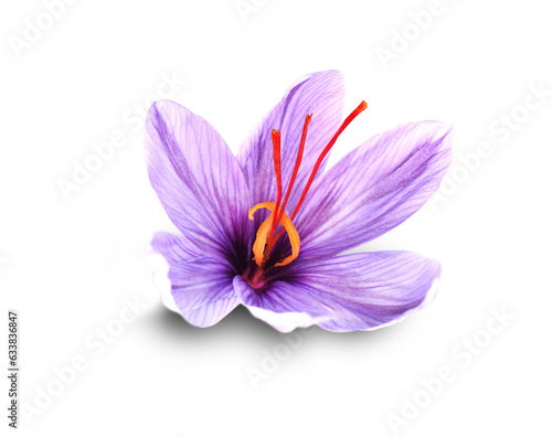 Saffron is a spice derived from the flower of Crocus sativus, commonly known as the 