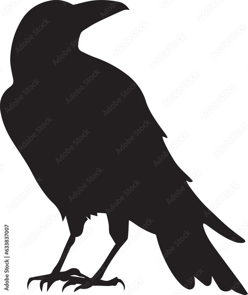 Crow vector silhouette illustration black color, crow bird vector Stock ...