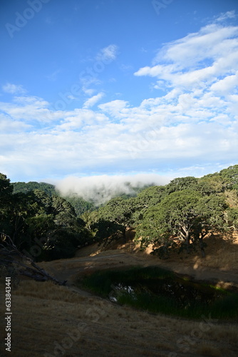 landscape with sky