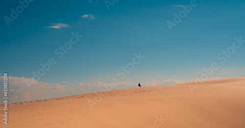 desert with cloudy sky during sunset