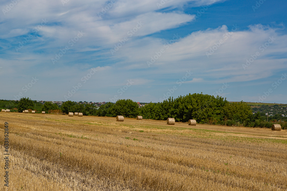 view of the field with bales