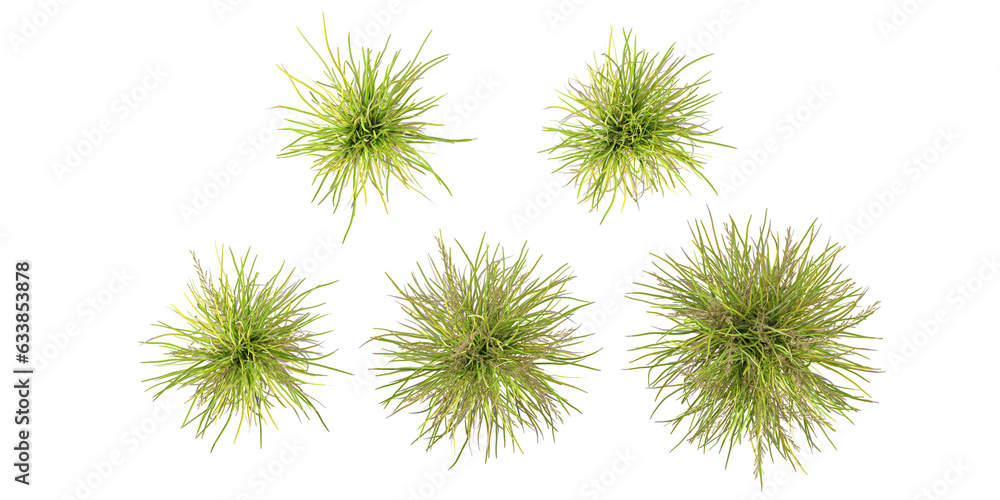 Set of top view Basket grass with alpha mask, 3d rendering, for digital composition and architecture visualization Set of top view Basket grass with alpha mask, 3d rendering, for digital composition and architecture visualization