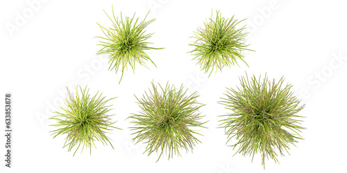 Set of top view Basket grass with alpha mask, 3d rendering, for digital composition and architecture visualization