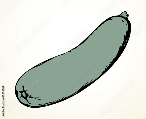 Zucchini gourd. Vector drawing icon
