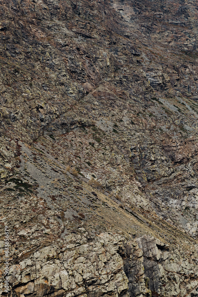 vertical textured rock vertical textured rock