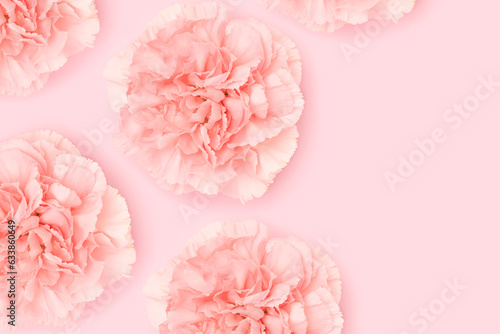 Wallpaper Mural Carnation flowers scattered on a pink background. Place for text. Torontodigital.ca
