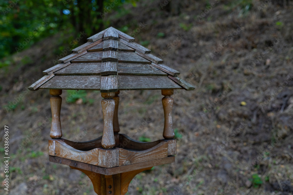 Wooden feeder for squirrels and birds in the park