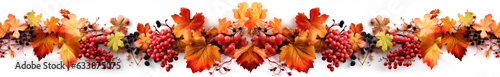 horizontal garland with red, orange, brown and yellow autumn leaves on a white background. 