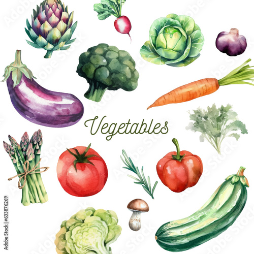 Hand drawn watercolor vegetables and herbs collection