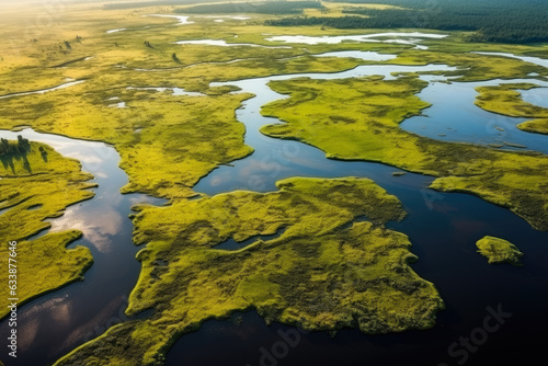 Aerial Perspective of a Vibrant Wetland Ecosystem with Serene Waterways and Flourishing Wildlife