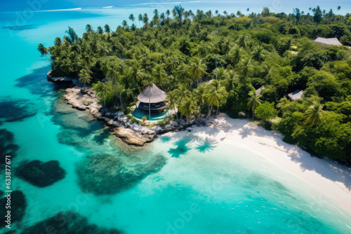 Majestic Aerial View of an Exquisite Oasis with Lush Greenery and Crystal Clear Turquoise Waters