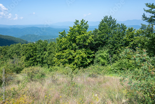 Landscape of Erul mountain near Kamenititsa peak  Bulgaria