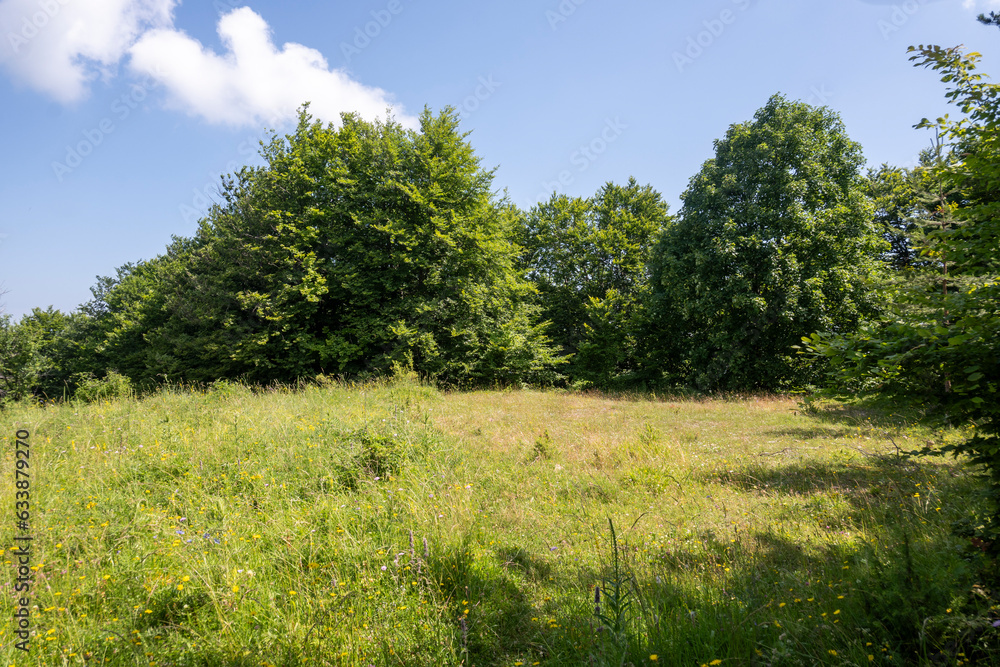 Fototapeta premium Landscape of Erul mountain near Kamenititsa peak, Bulgaria