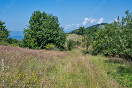 Landscape of Erul mountain near Kamenititsa peak, Bulgaria photo