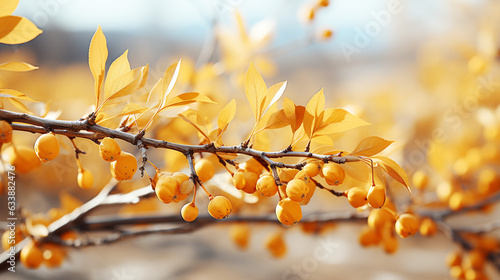 Autumn foliage in yellow and gold hues