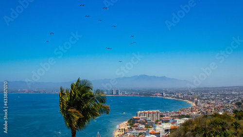 Birds flying over Puerto Vallarta's city bay