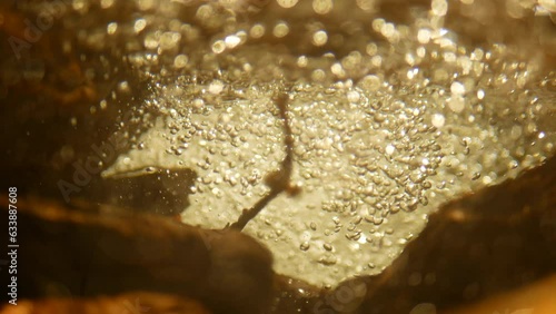 Bubbles underwater water waterfalls stream mountain forest river way through stones fairytale summer landscape Jeseniky, beauty of virgin nature untouched primeval forest, crystal clear