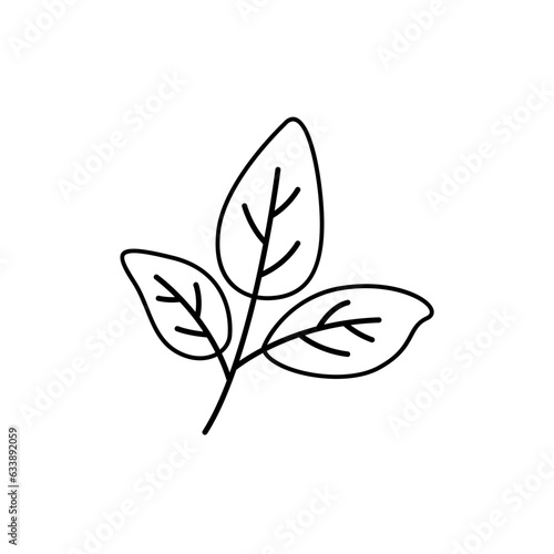 twig leaf illustration