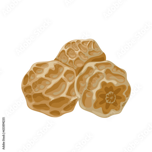 Vector illustration, Cyperus esculentus or tiger nuts, isolated on white background.