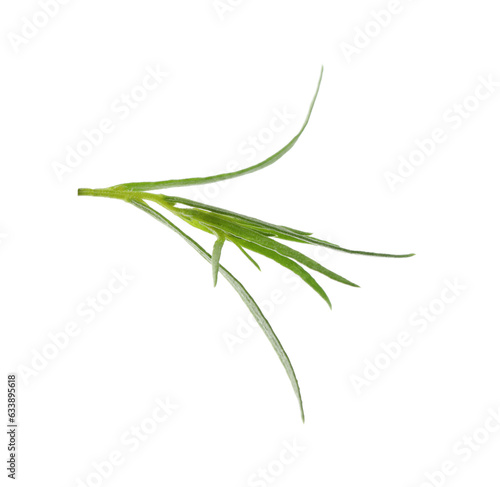 One sprig of fresh tarragon on white background