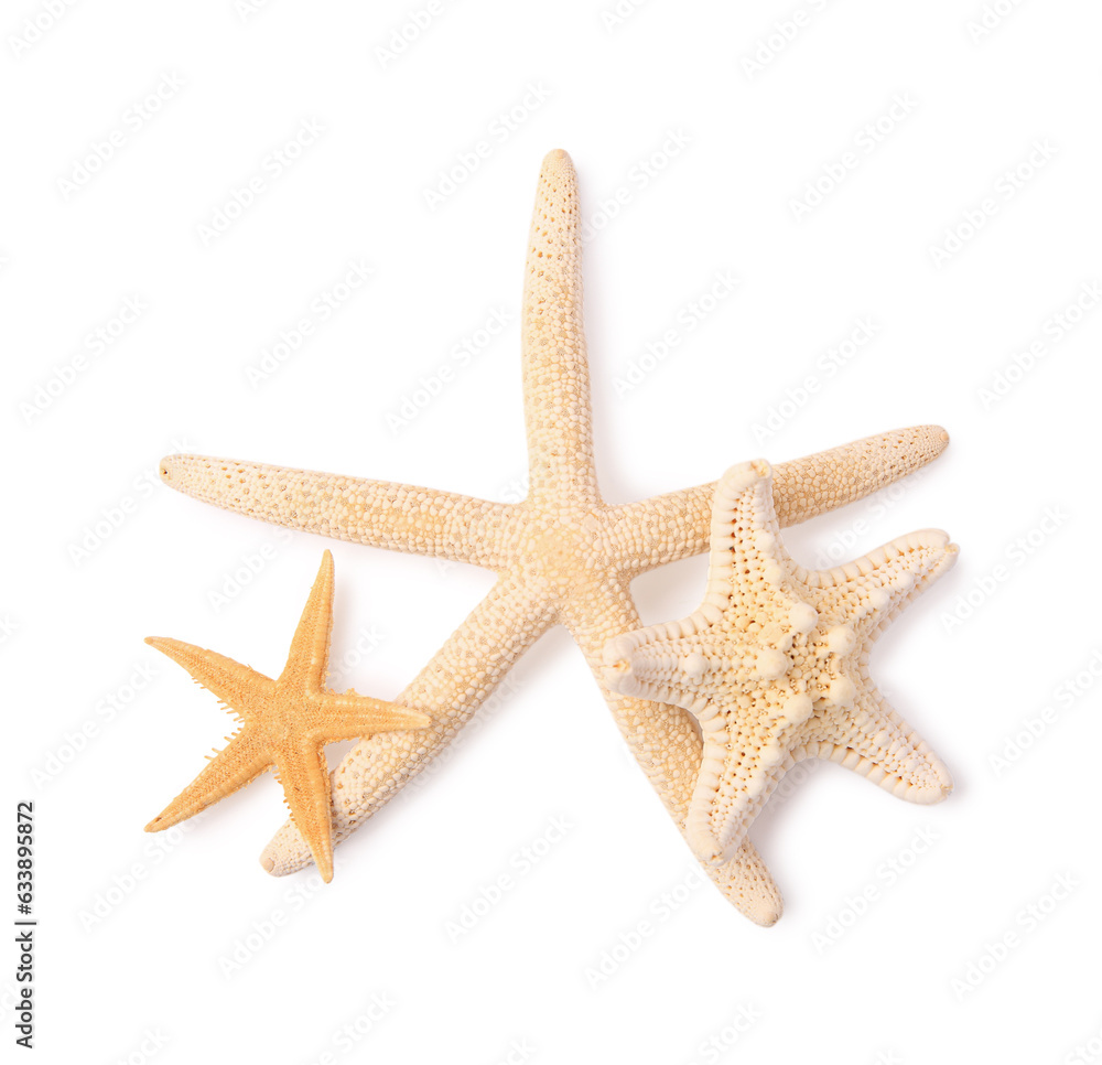 Many beautiful sea stars (starfishes) isolated on white, top view Many beautiful sea stars (starfishes) isolated on white, top view