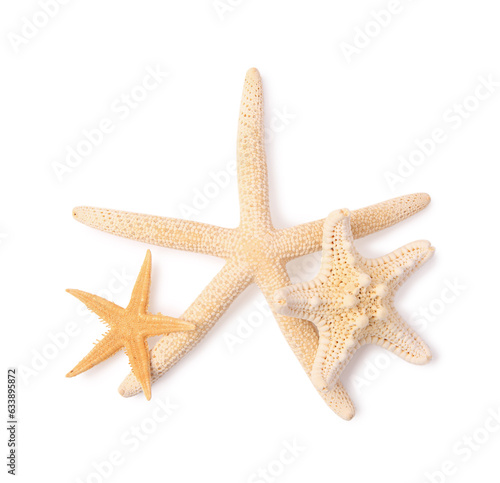 Many beautiful sea stars (starfishes) isolated on white, top view