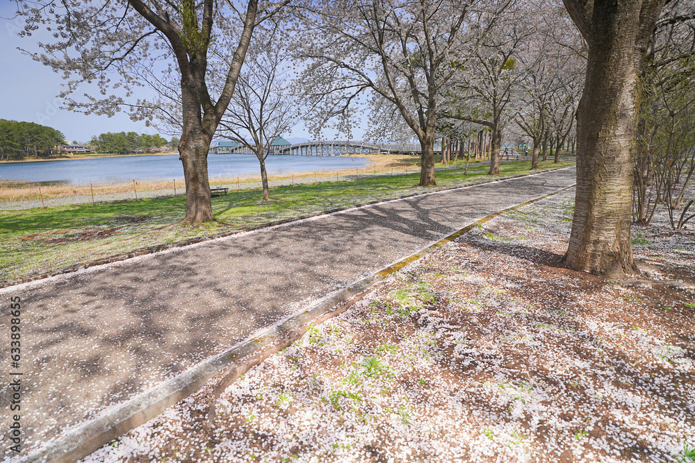 Obraz premium 鶴の舞橋