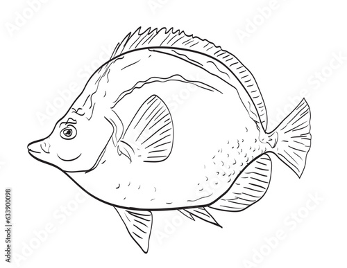 Drawing sketch style illustration of a blacknosed butterflyfish or barberfish Johnrandallia nigrirostris fish native to Gulf of California side view black and white on isolated white background. photo