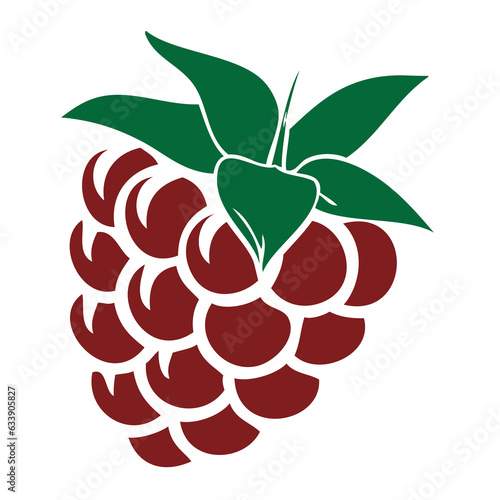 Berry raspberry