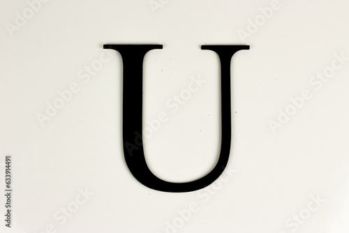 Capital letter on white background - black color letter in capital letters