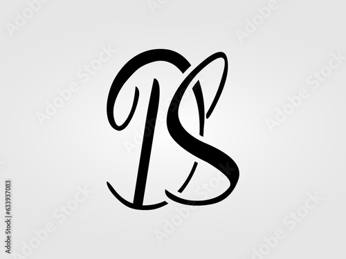 Initial DS letter Logo Design vector Template. Monogram, lettermark DS logo Design photo