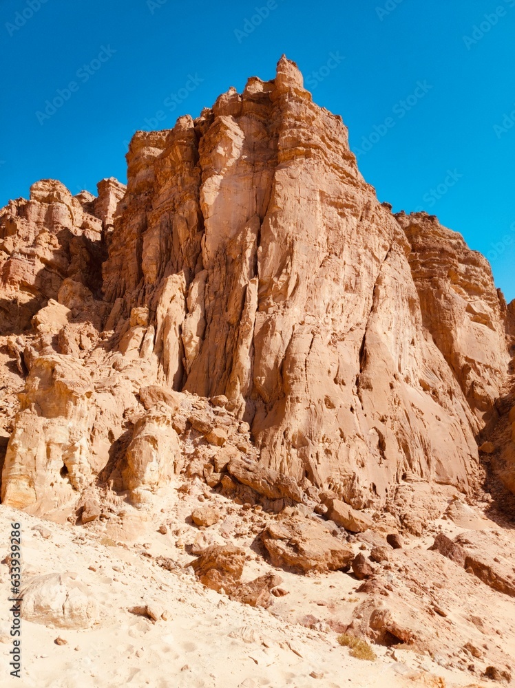 Fototapeta premium red rock canyon