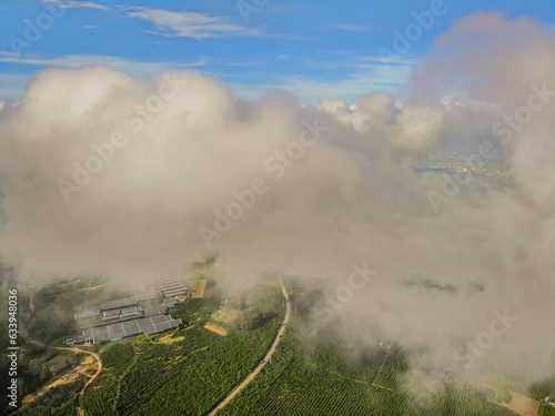The roads leading to the coffee shop panoramic photos of coffee in the morning dew