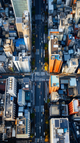 Aerial view on Tokyo Japan