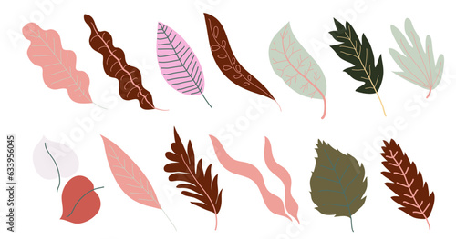 Autumn leaves, foliage and branches leafage vector