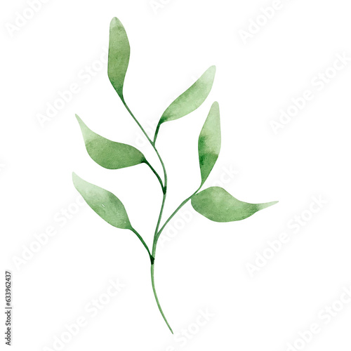 Watercolor green tender branch with leaves