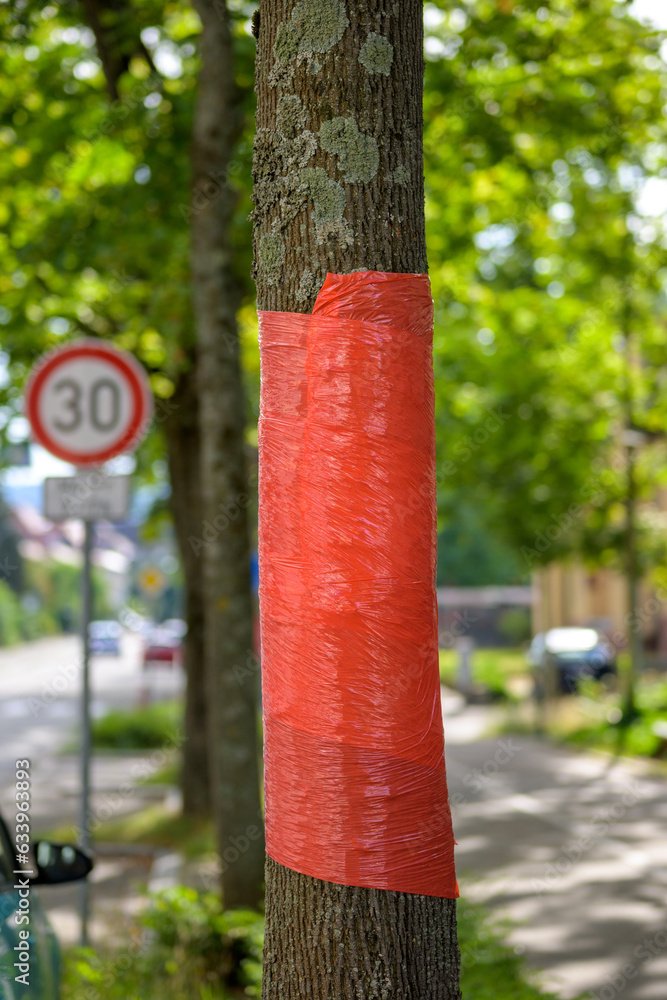 A tree in the city with red ribbon A tree in the city with red ribbon