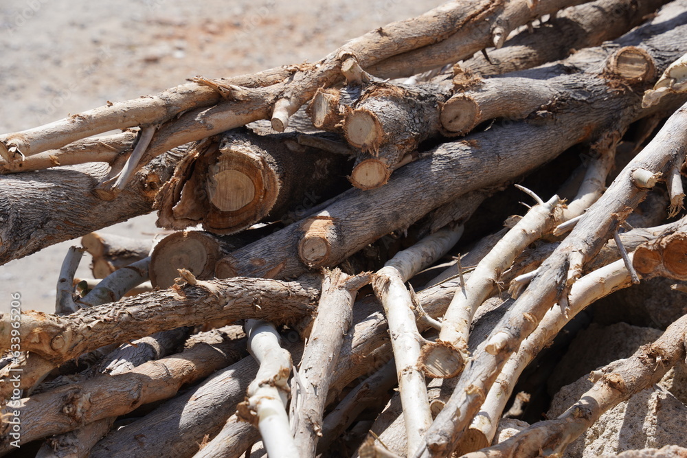 Stacking Firewood. Pile of firewood logs. Cut wooden logs with clipping path Stacking Firewood. Pile of firewood logs. Cut wooden logs with clipping path