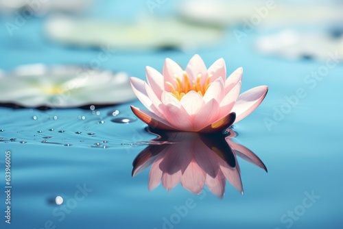 A floating lotus flower on the calm surface of a pond symbolizes the potential for transformation and spiritual growth through the practice of meditation and mindfulness. 