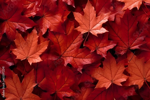 red maple leaf