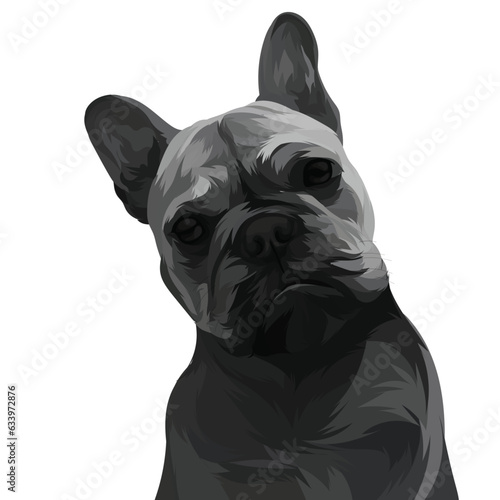 black and white dog