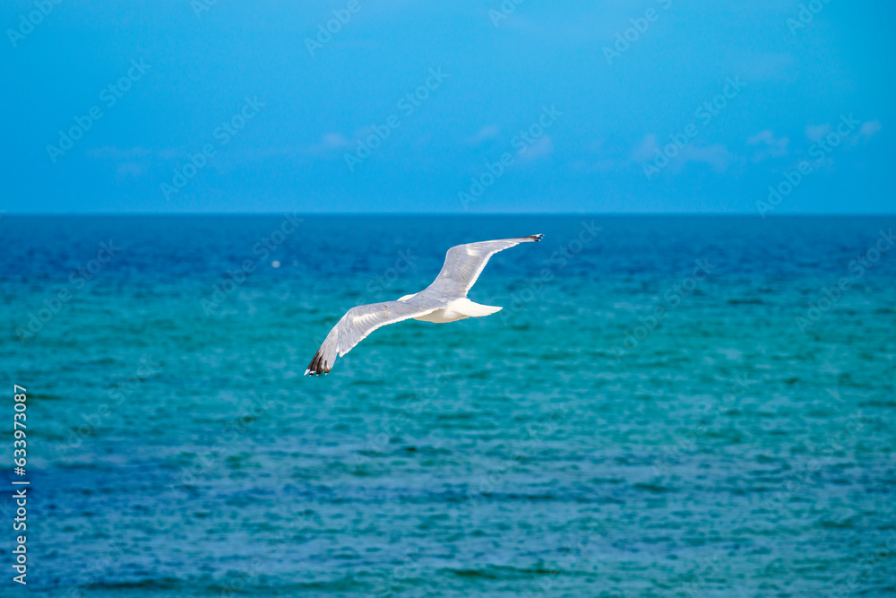 Ostseebad Kühlungsborn Ostseebad Kühlungsborn