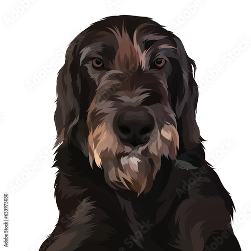 black dog portrait