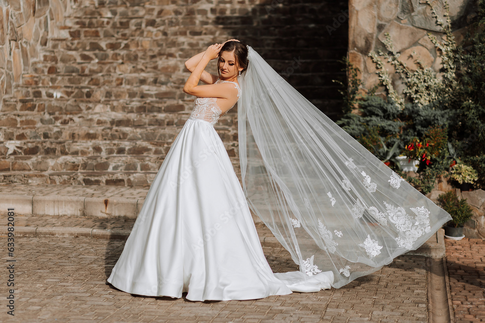 Portrait of a beautiful bride in a white satin voluminous dress with a long veil. A brunette girl with a beautiful hairstyle and professional make-up. Portrait of a beautiful bride in a white satin voluminous dress with a long veil. A brunette girl with a beautiful hairstyle and professional make-up.