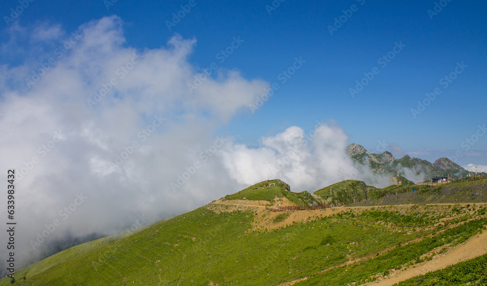 beautiful panoramic landscape - hills with green grass and a walking path among a white big cloud on a red meadow on a summer sunny day and copy space