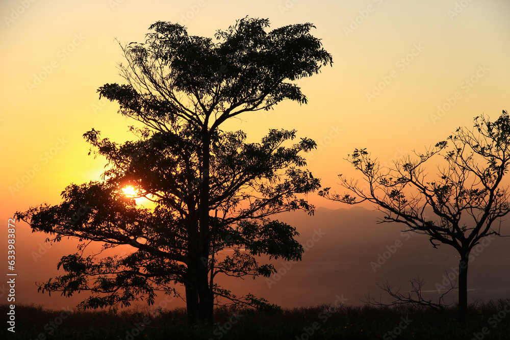 Tree silhouette sunset over trees on the hill in hot summer evening beautiful sunset background. Tree silhouette sunset over trees on the hill in hot summer evening beautiful sunset background.