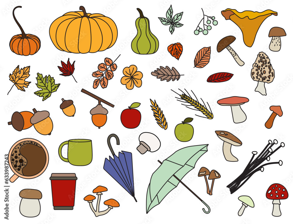 A big set of pumpkins, mushrooms, apple, wheat, leaves, cup, mug, umbrellas, acorns in outline style on white background for posters, icons, fabrics, webs 