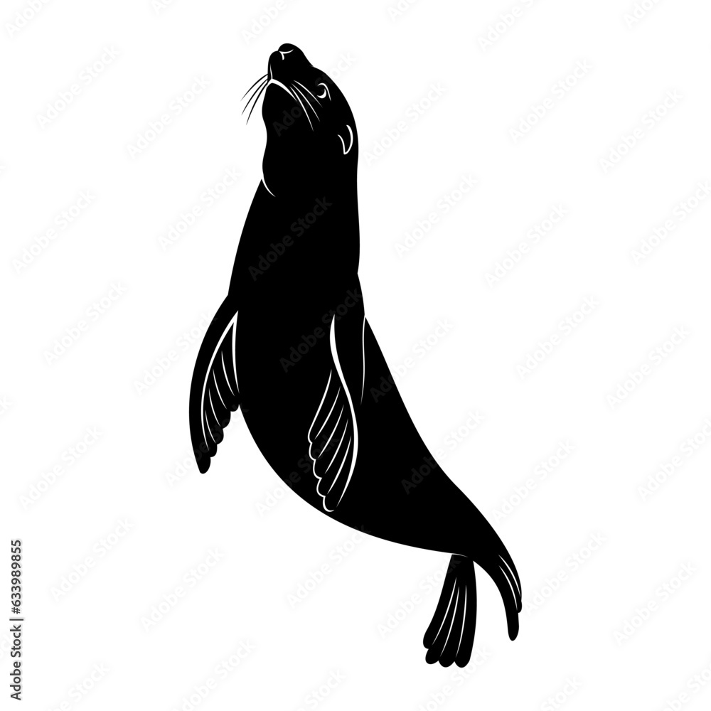 Photography sea lion