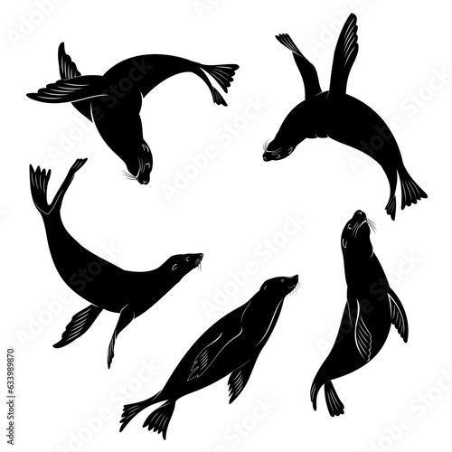 set of sea lion